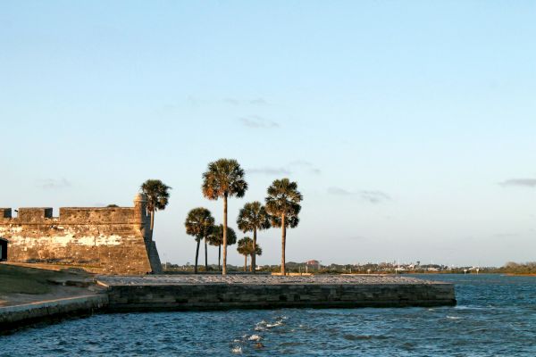 The image shows a waterfront scene with palm trees and part of an old fort structure under a clear blue sky.
