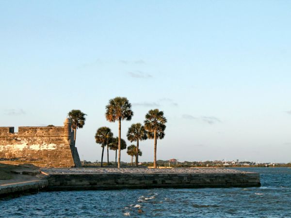 The image shows a waterfront scene with palm trees and part of an old fort structure under a clear blue sky.