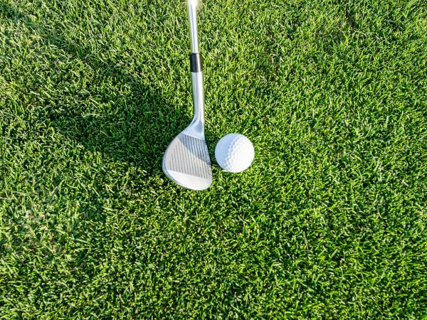 A golf club and a golf ball are on green grass, ready for a shot.